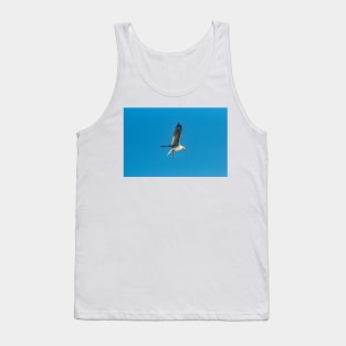 Hovering Larus Californicus 4 Tank Top